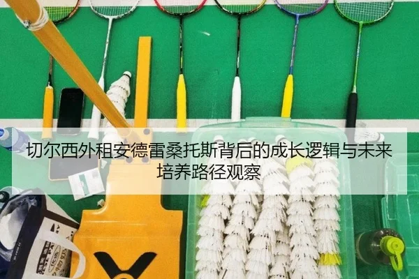 切尔西外租安德雷桑托斯背后的成长逻辑与未来培养路径观察