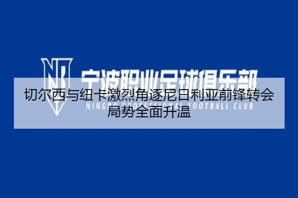 切尔西与纽卡激烈角逐尼日利亚前锋转会局势全面升温